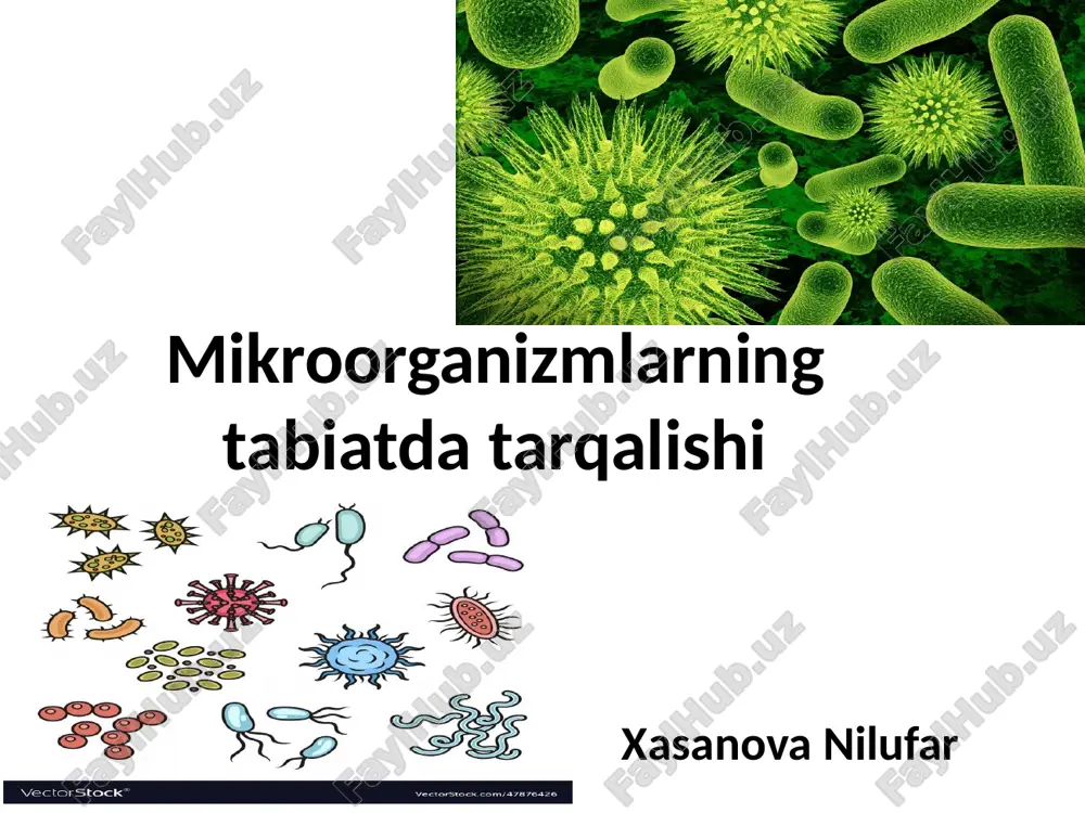 mikroorganizmlarning tabiat datarqalishi — PPTX
