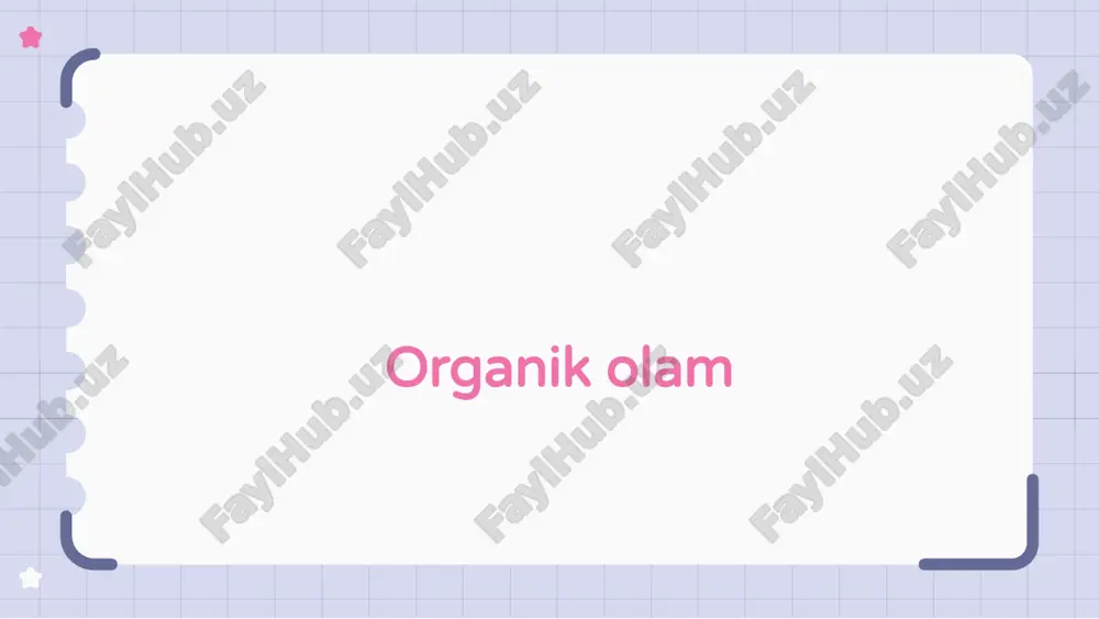 organik olam — ZIP