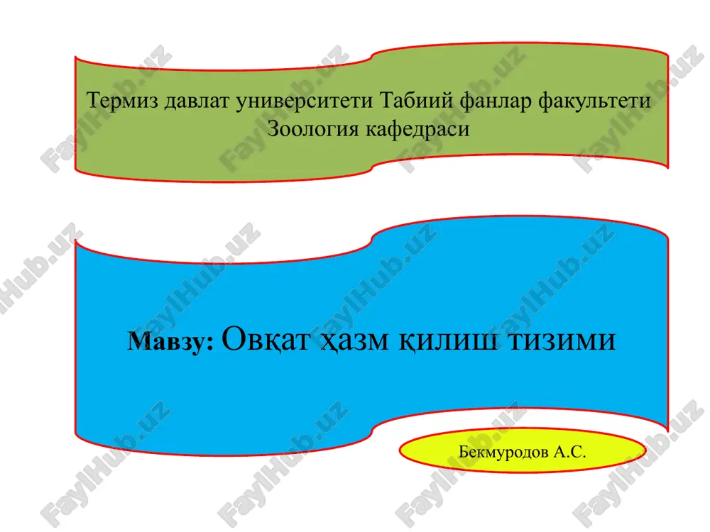 ovqat hazm qilish tizimi — PPTX