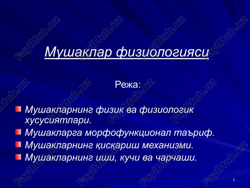 mushaklar fiziologiyasi — ZIP