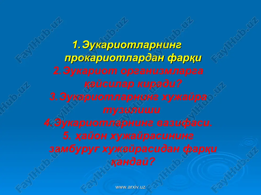 эукариотлар — ZIP