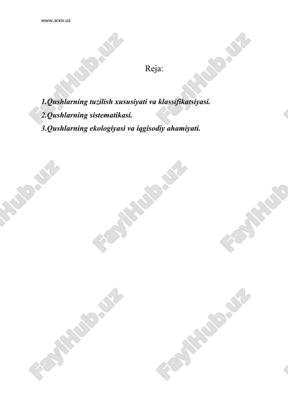 qushlar sinfi — ZIP