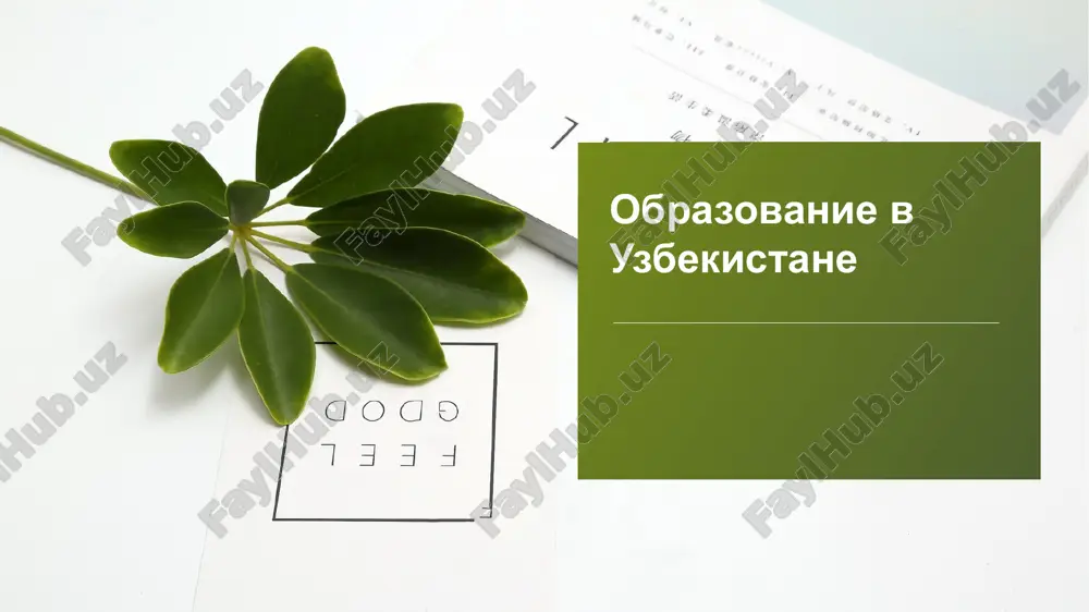 образование в узбекистане — ZIP