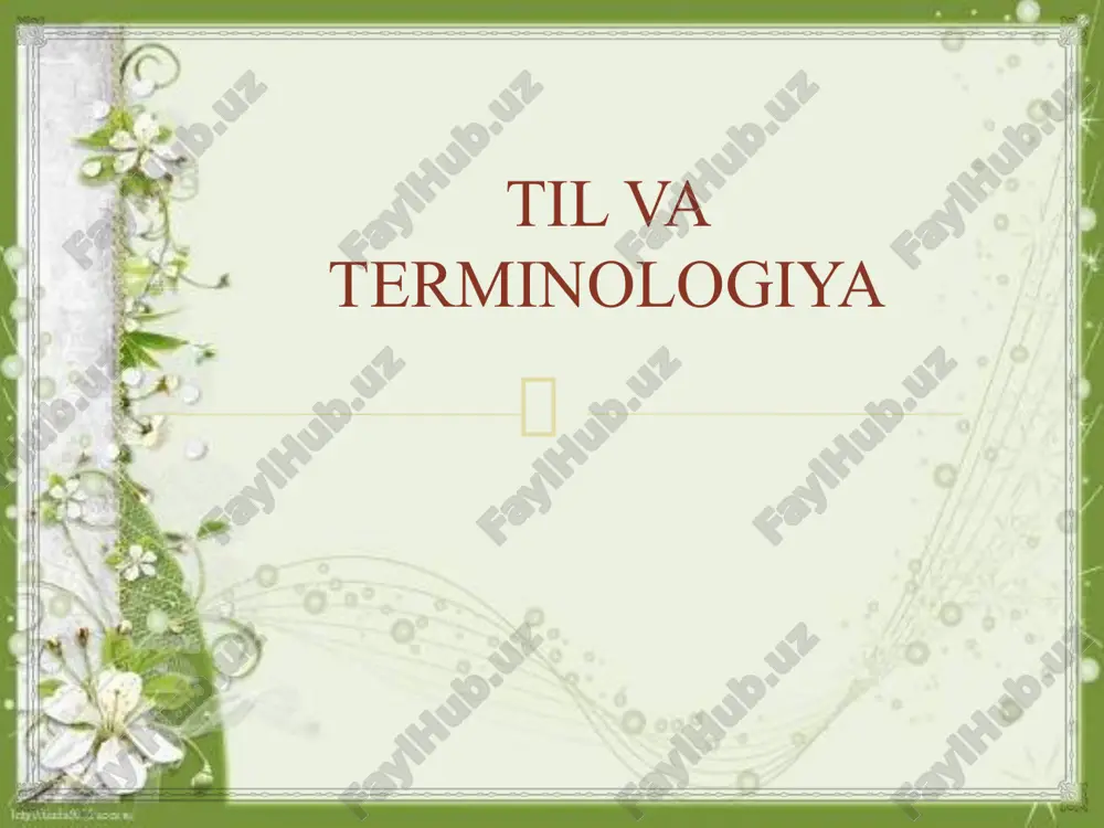 til va terminologiya — ZIP