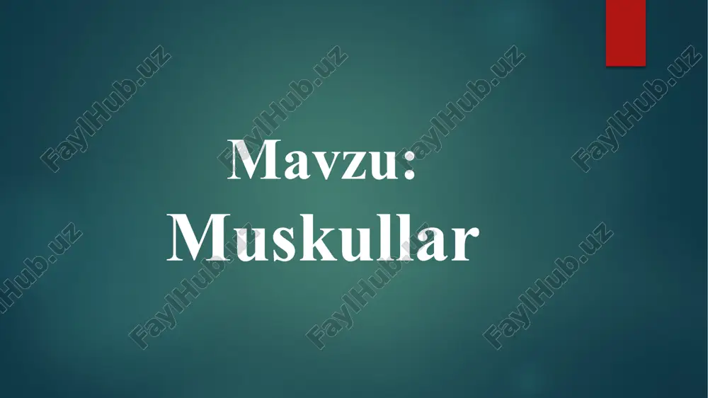 muskullar — PPTX