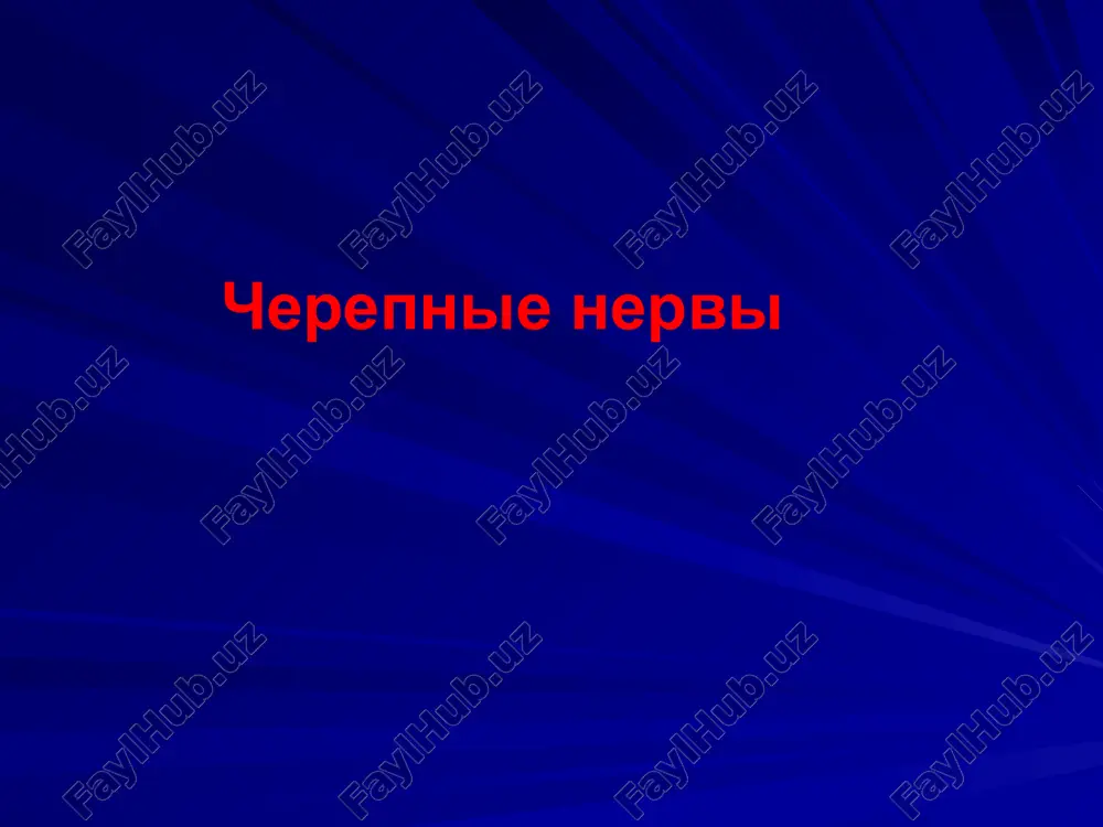 черепные нервы — PPTX