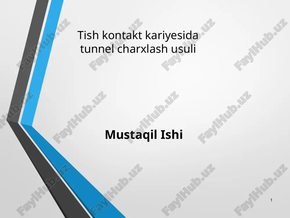 mustaqil ishi — PPTX
