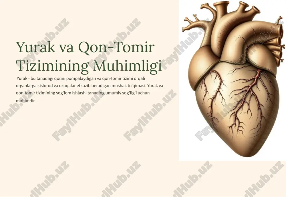 yurak va qon-tomir tizimining muhimligi — PPTX