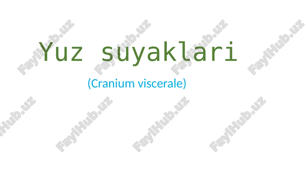 yuz suyaklari (cranium viscerale) — PPTX