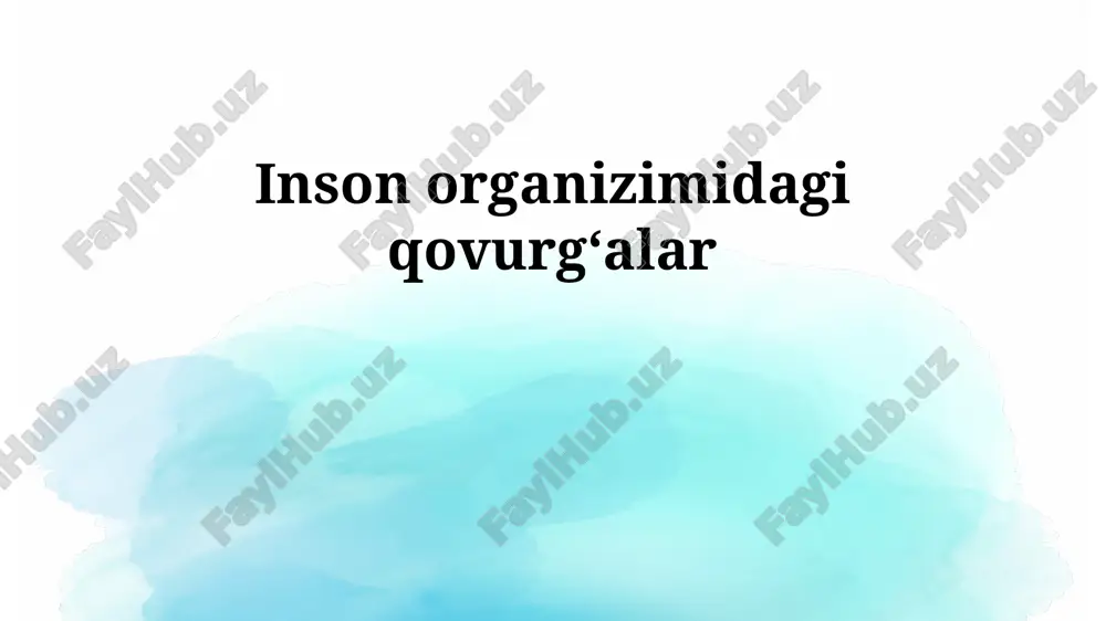 qovurg'alarning tuzilishi — PPTX