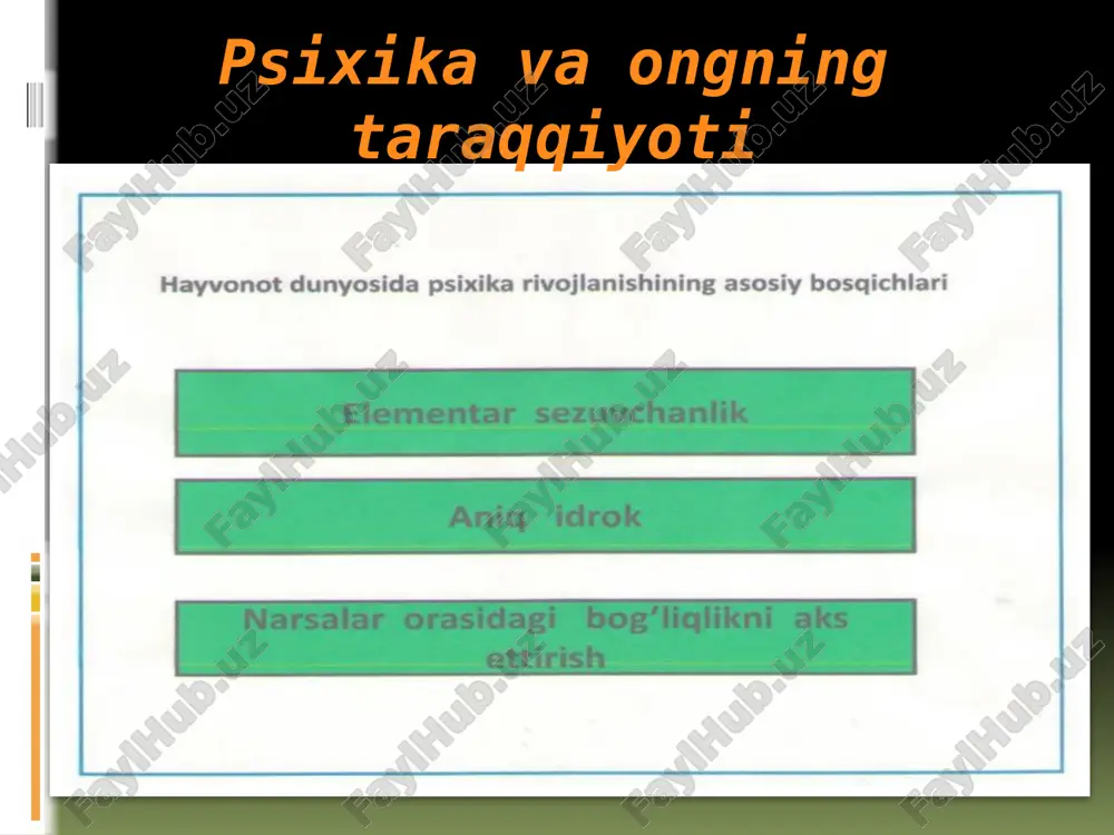psixika va ongning taraqqiyoti — ZIP
