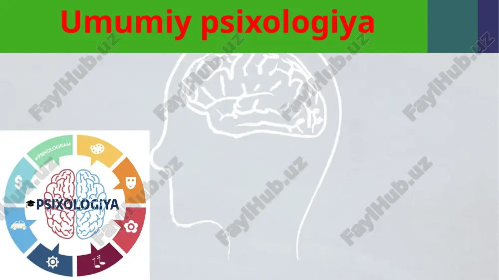 umumiy psixologiya — ZIP
