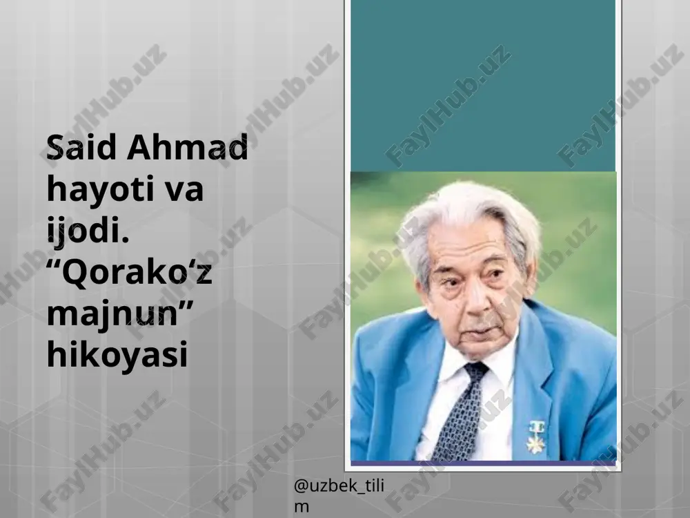 qorakoz majnun hikoyasi — PPTX