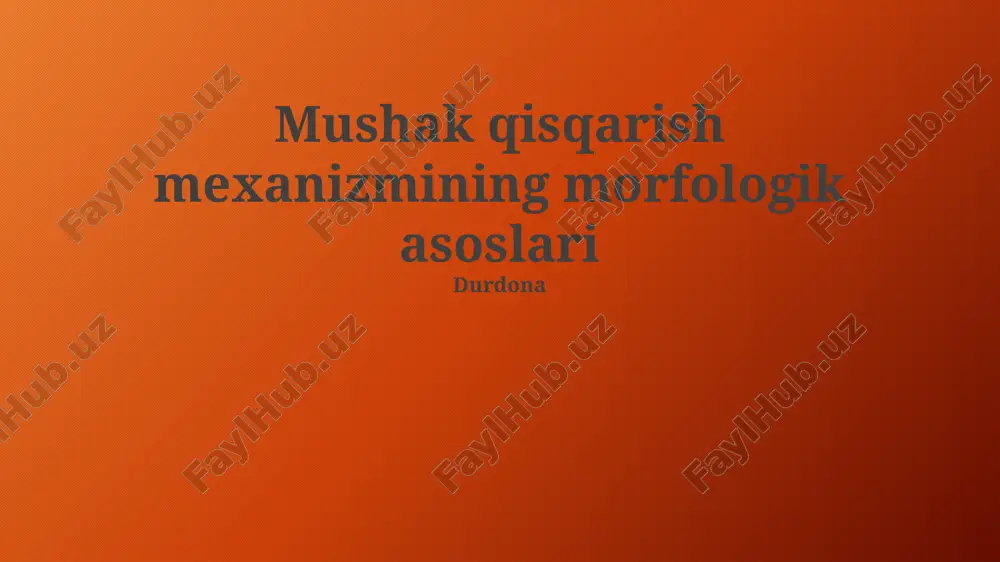 mushak qisqarish mеxanizmining morfologik asoslari — PPTX