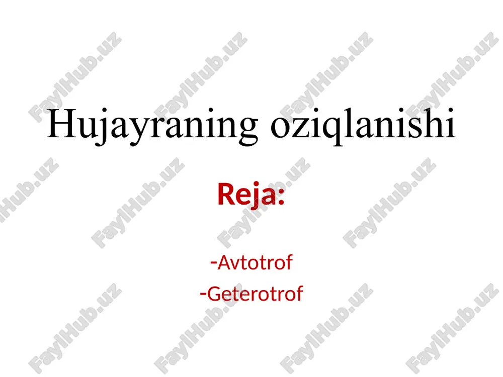 hujayraning oziqlanishi — ZIP