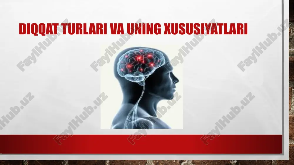 diqqat turlari va uning xususiyatlari — ZIP