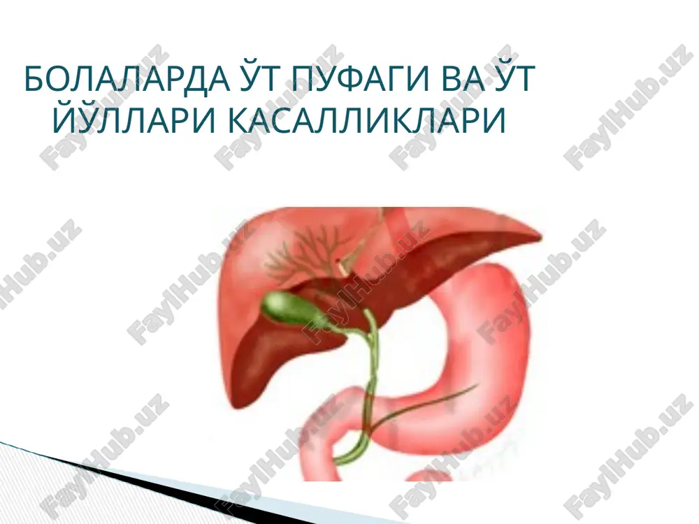 холецистит — PPTX
