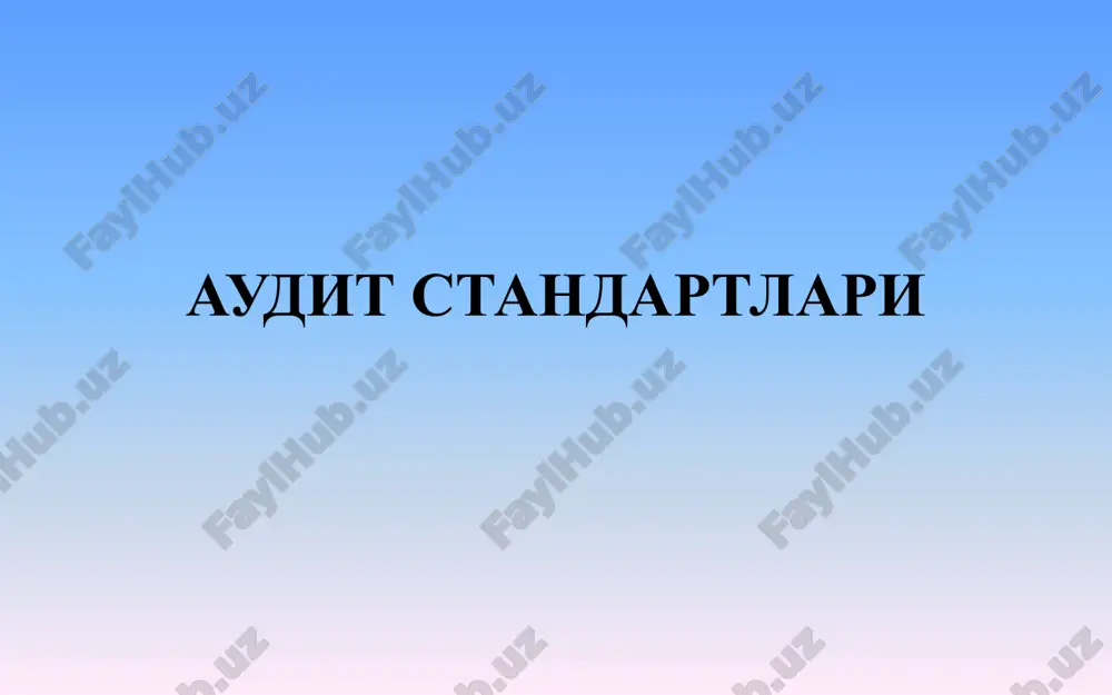 audit standartlari — ZIP