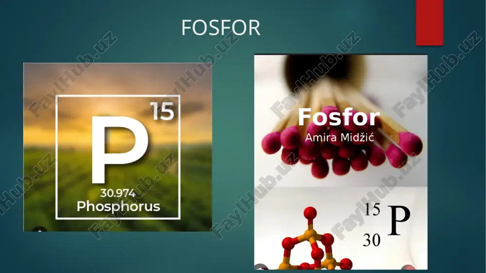 fosfor — ZIP