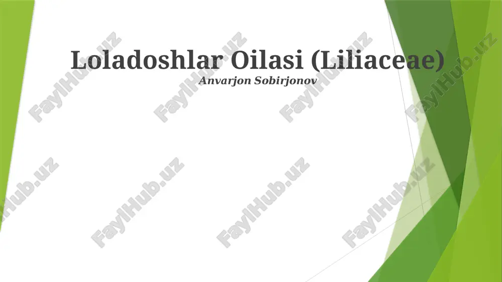 loladoshlar oilasi (liliaceae) — PPTX