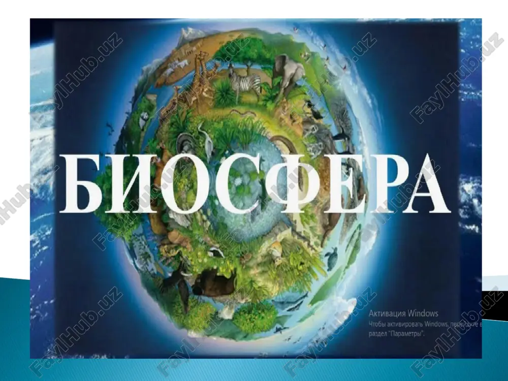 биосфера — PDF