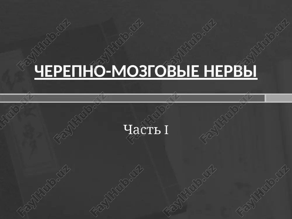 че́репно-мозговы́е не́рвы — PPTX
