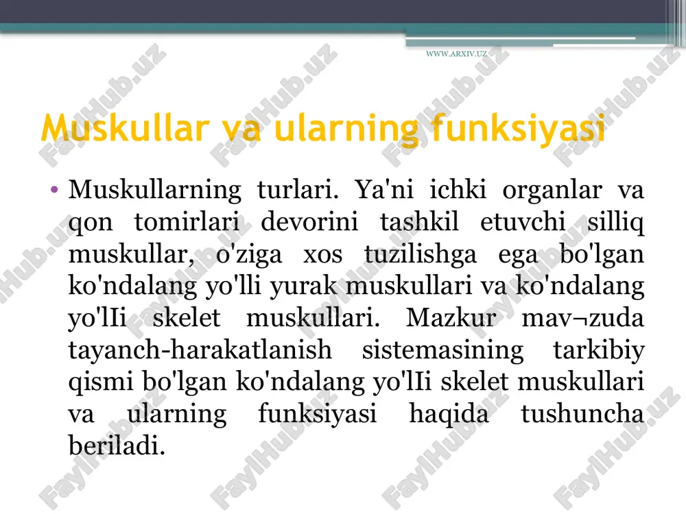 muskullar va ularning funksiyasi — ZIP