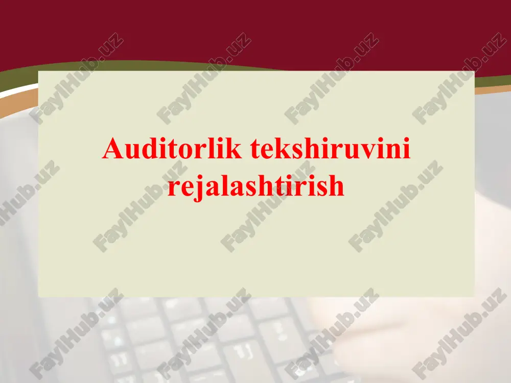 auditorlik tekshiruvini rejalashtirish — ZIP