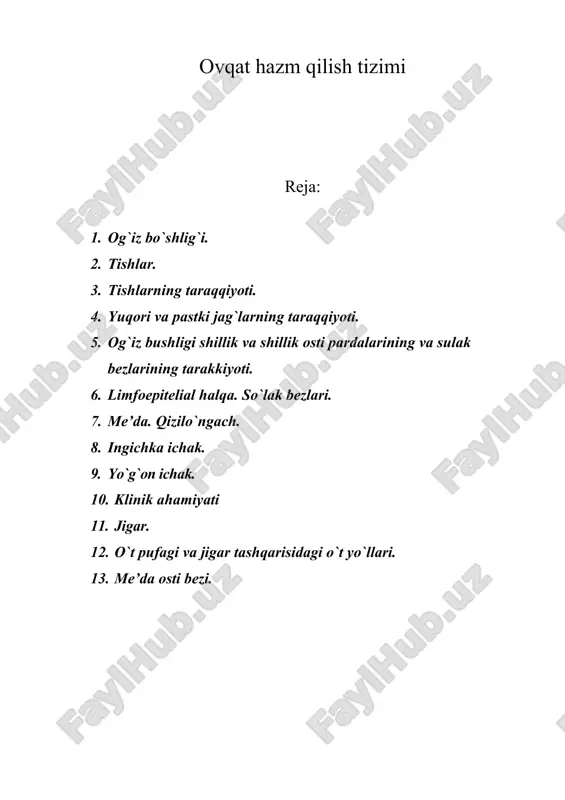 ovqat hazm qilish tizimi — ZIP