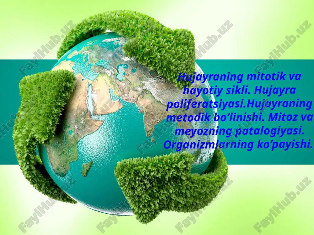 hujayraning mitotik va hayotiy sikli — PPTX