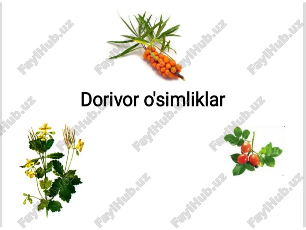 dorivor o'simliklar — PPTX