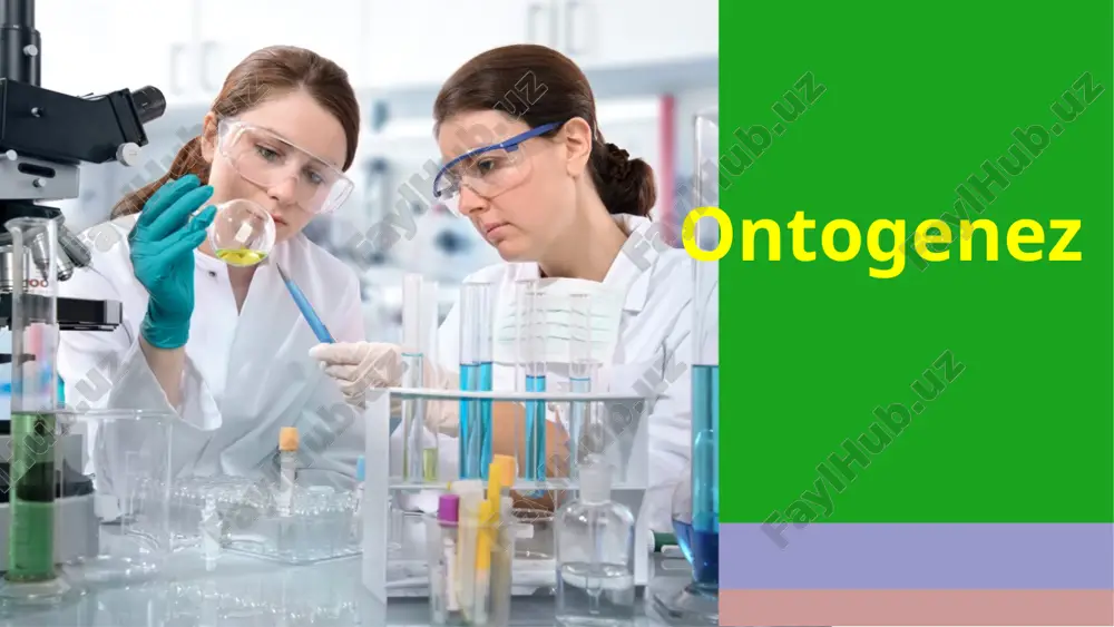 ontogenez — PPTX