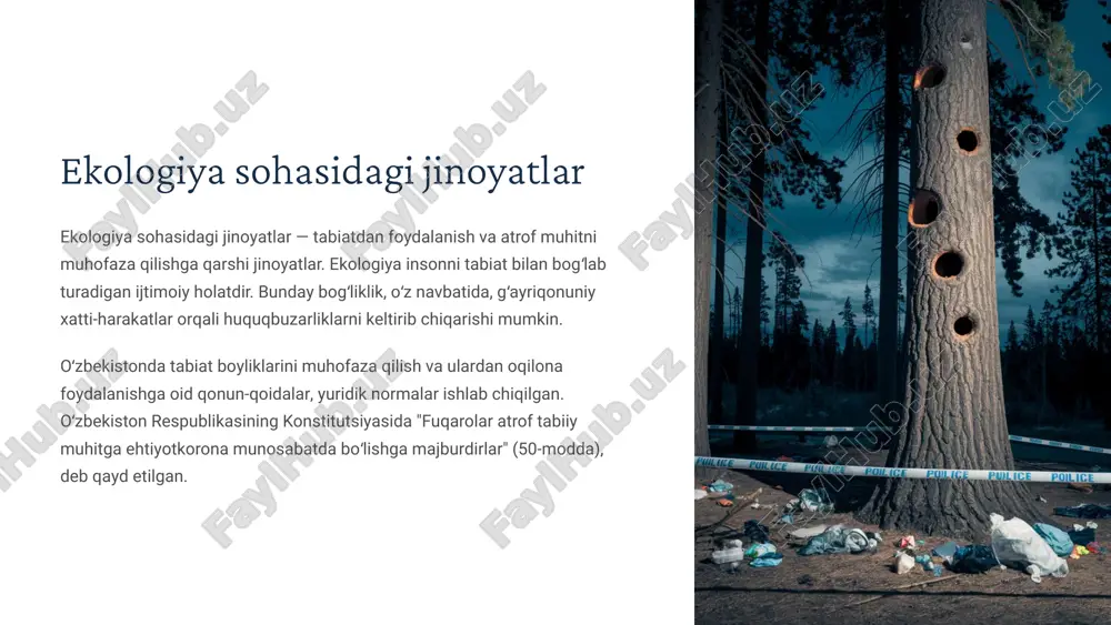 ekologiya sohasidagi jinoyatlar — ZIP