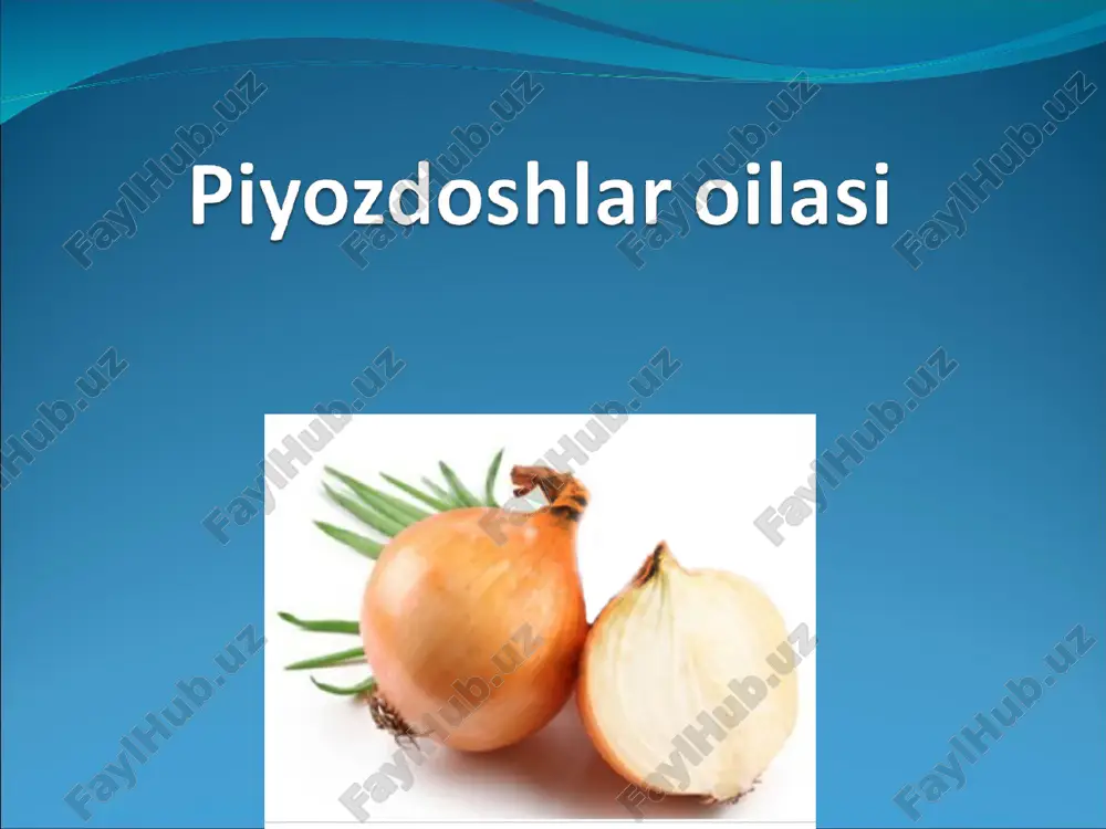 piyozdoshlar oilasi — ZIP