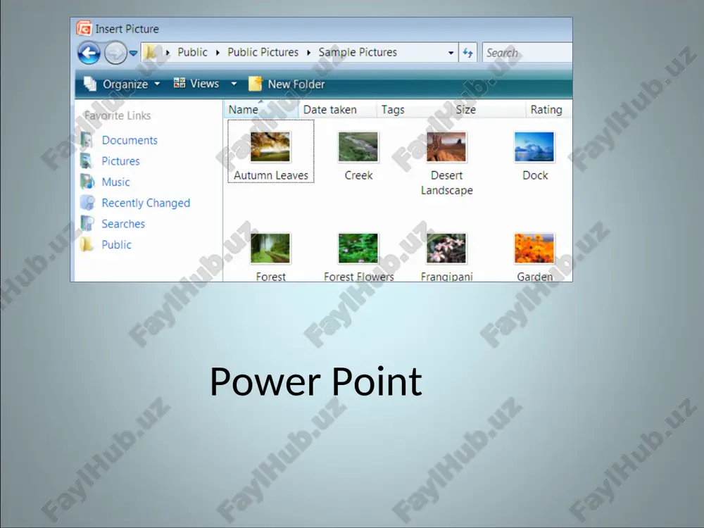 power point — ZIP