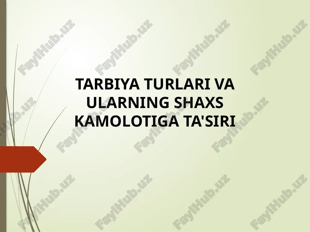 tarbiya turlari va ularning shaxs kamolotiga ta’siri — PPTX