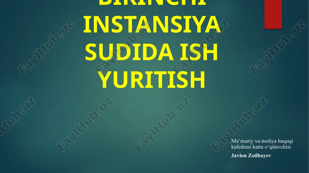 birinchi instansiya sudida ish yuritish — ZIP