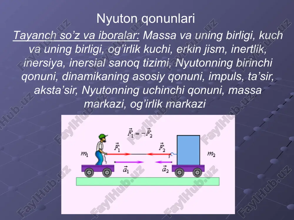 nyuton qonunlari — ZIP