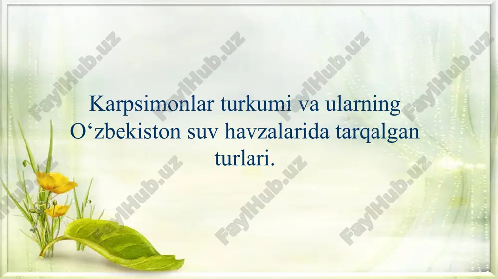 karpsimonlar — PPTX