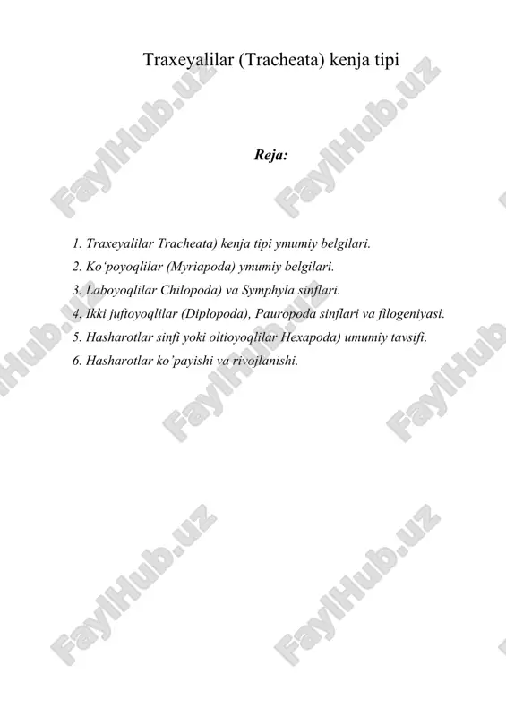 traxeyalilar (tracheata) kenja tipi — ZIP