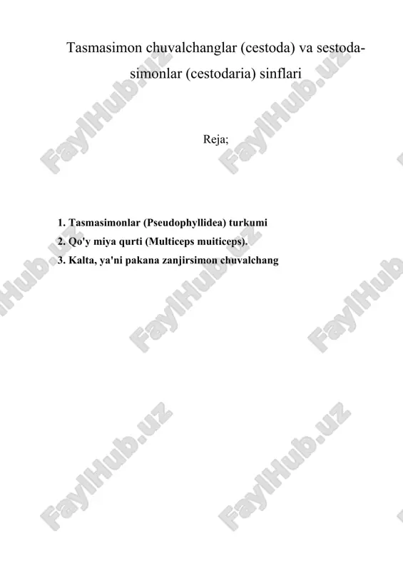 tasmasimon chuvalchanglar (cestoda) va sestoda-simonlar (cestodaria) sinflari — ZIP