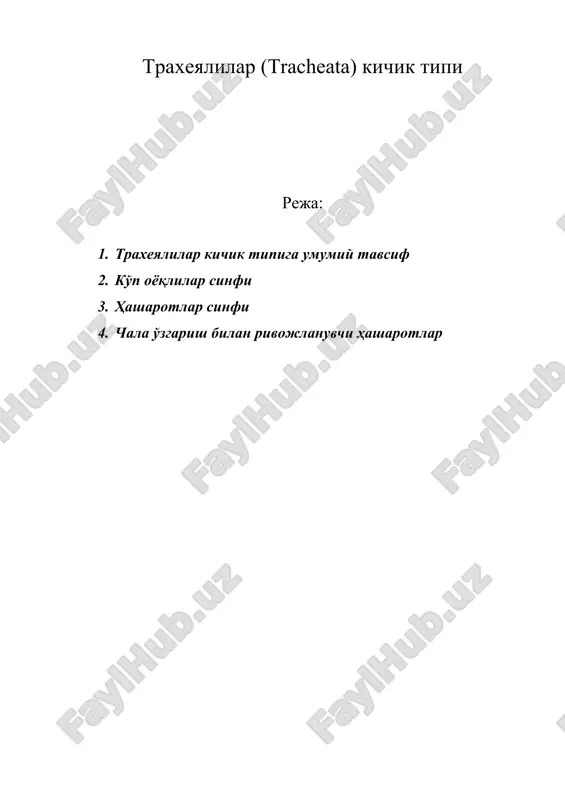 трахеялилар (tracheata) кичик типи — ZIP