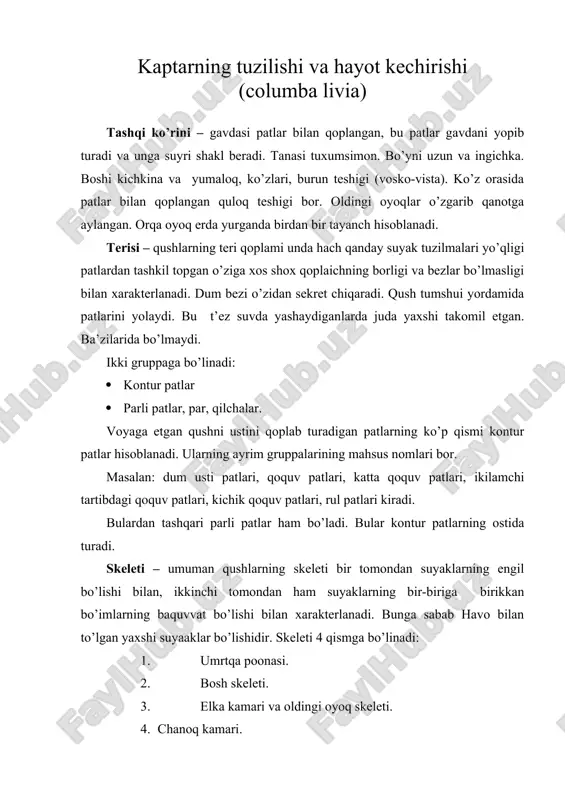 kaptarning tuzilishi va hayot kechirishi — ZIP