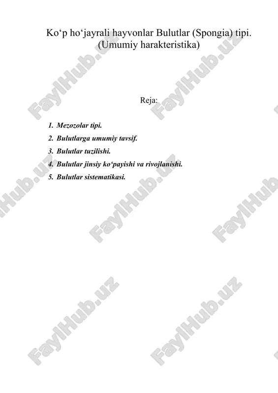 kо‘p hо‘jayrali hayvonlar bulutlar (spongia) tipi. (umumiy harakteristika) — ZIP
