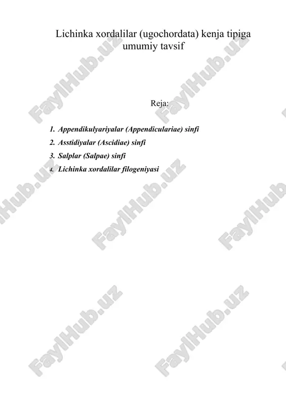 lichinka xordalilar (ugochordata) kenja tipiga umumiy tavsif — ZIP