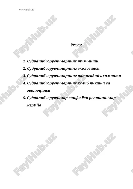 судралиб юрувчиларнинг тузилиши — ZIP