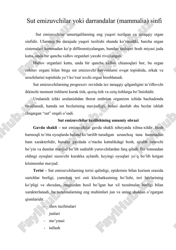 sut emizuvchilar yoki darrandalar (mammalia) sinfi — ZIP