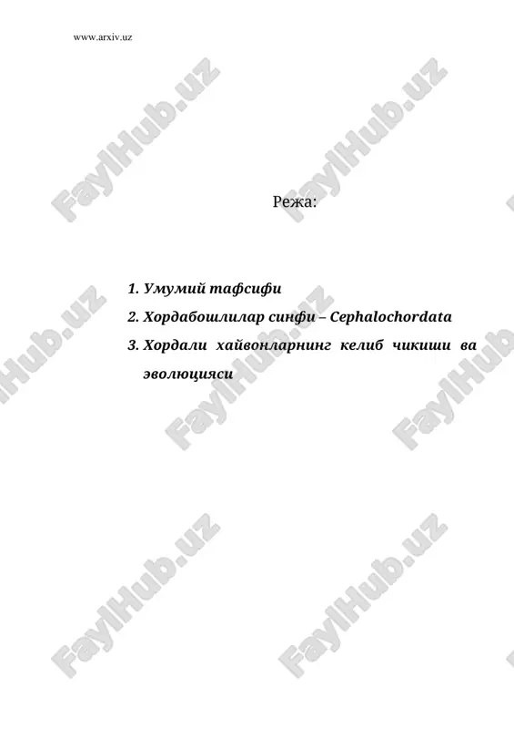 бош скелетсизлар кенжа типи – aerania — ZIP