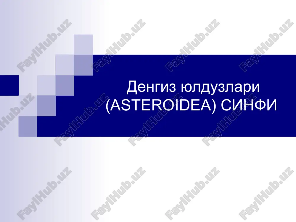 денгиз юлдузлари (asteroidea) синфи — ZIP
