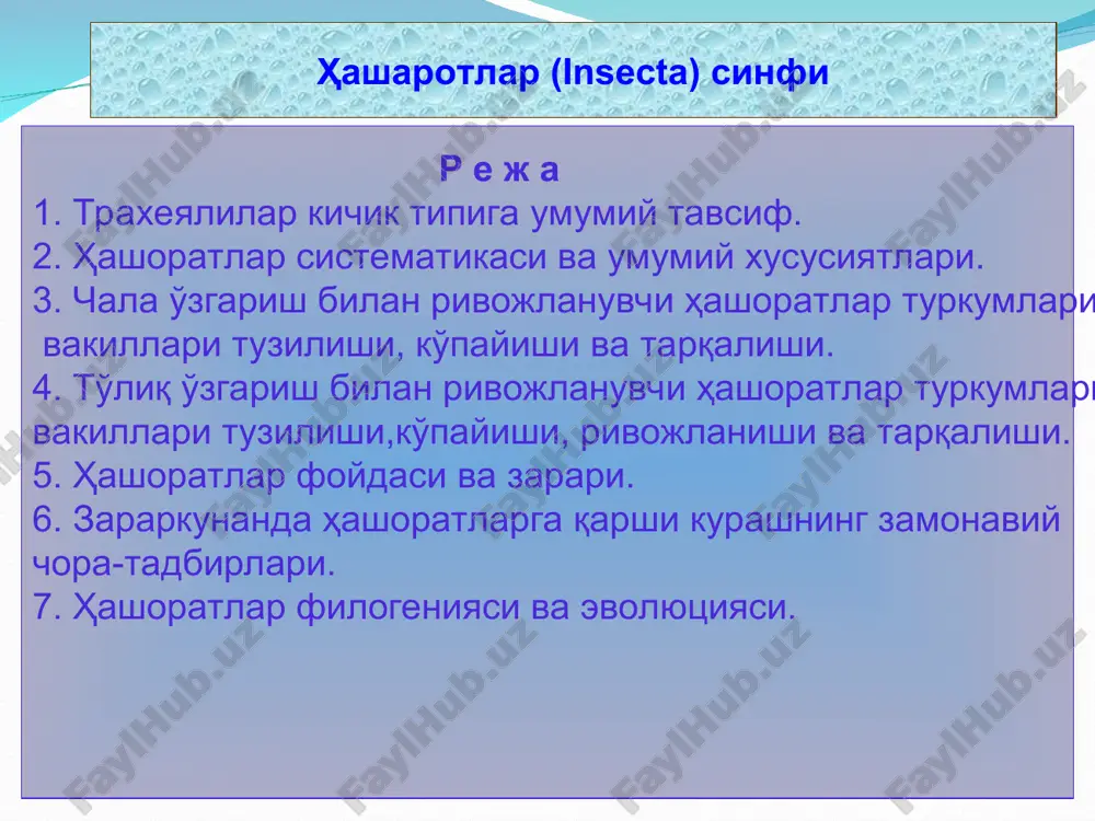 ҳашаротлар (insecta) синфи — ZIP